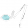 Förstoringslampa / arbetslampa / lupplampa vit LED MOONLIGHT 8012/5