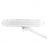 Arbetslampa / bordslampa ELEGANTE 801-S LED vit