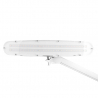 Arbetslampa / bordslampa ELEGANTE 801-L LED vit