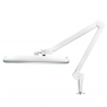 Arbetslampa / bordslampa ELEGANTE 801-TL LED vit