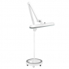 Arbetslampa / bordslampa ELEGANTE 801-TL LED vit, stativ, ljusintensitet, ljusfärg