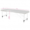 Bärbar massagebänk / behandlingsbänk ALUMINIUM COMFORT grå + väska