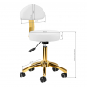 Arbetspall AM-304G vit / guld med ryggstöd