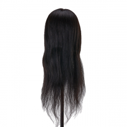 Övningshuvud GABBIANO i naturligt hår, färg 1H - 42 cm