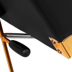 Behandlingsbänk / behandlingsstol svart SILLON 211 GOLD PRO