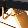 Behandlingsbänk / behandlingsstol svart SILLON 202 GOLD PRO