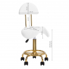 Arbetsstol / sadelstol 6001G guld / vit