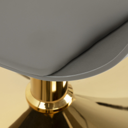 Frisörstol Hair System Halo Grigio Oro grå