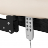 Elektrisk behandlingssäng / massagesäng SPA SILLON RELAX beige / svart trä, 3-motor