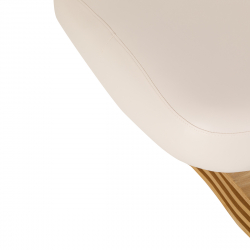 Elektrisk behandlingssäng / massagesäng SPA SILLON COMFORT beige, uppvärmning, 4-motor