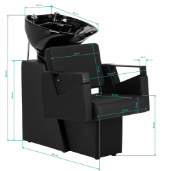 Schamponeringsstol Hair System Duplex Noir svart