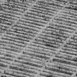 Kassettkolfilter för dammuppsamlare MOMO J29 / J31 / J02