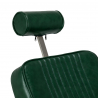Barberarstol HAIR SYSTEM ROYAL X grön