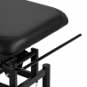 Elektrisk massagebänk / behandlingssäng AZZURRO 684A 1-motor svart