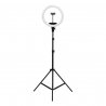 Ringlampa / arbetslampa 13 tum LED svart med stativ
