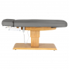 Elektrisk behandlingssäng / massagesäng SPA SILLON RELAX grå / trä, 3-motor