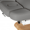 Elektrisk behandlingssäng / massagesäng SPA SILLON RELAX grå / trä, 3-motor