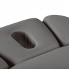 Elektrisk behandlingssäng / massagesäng SPA SILLON RELAX grå / trä, 3-motor