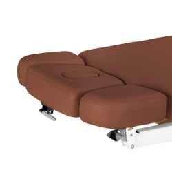 Elektrisk behandlingssäng / massagesäng SPA SILLON RELAX brun / trä, 3-motor