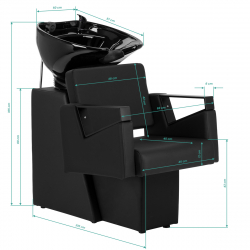 Schamponeringsstol Hair System Duplex Noir svart